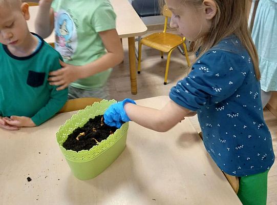 Dzieci sadzą roślinki