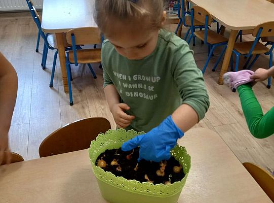 Dzieci sadzą roślinki