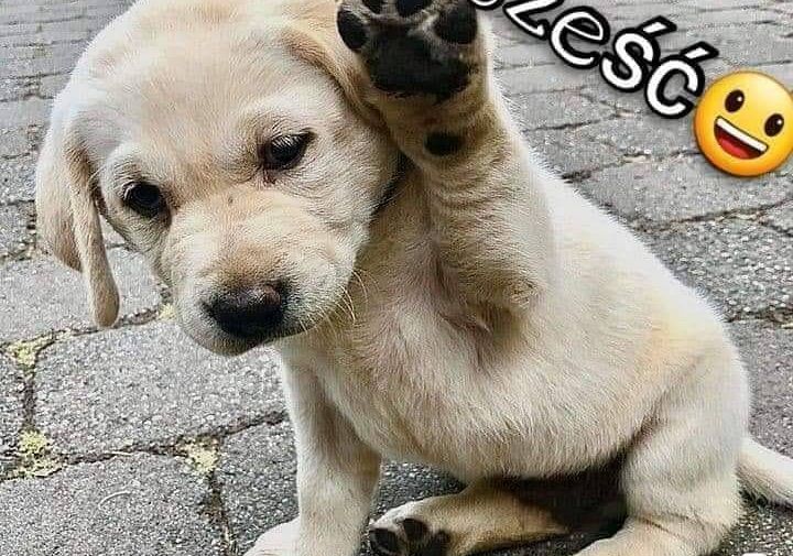 Zajęcia dla dzieci w domu cz II