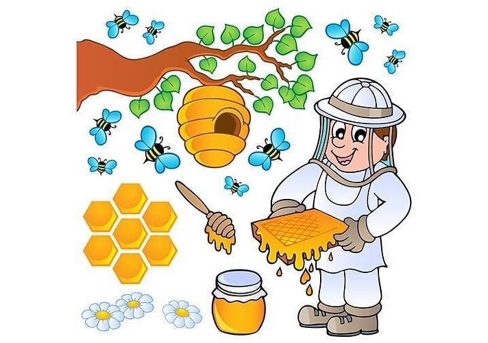 Cykl rozwojowy pszczoły