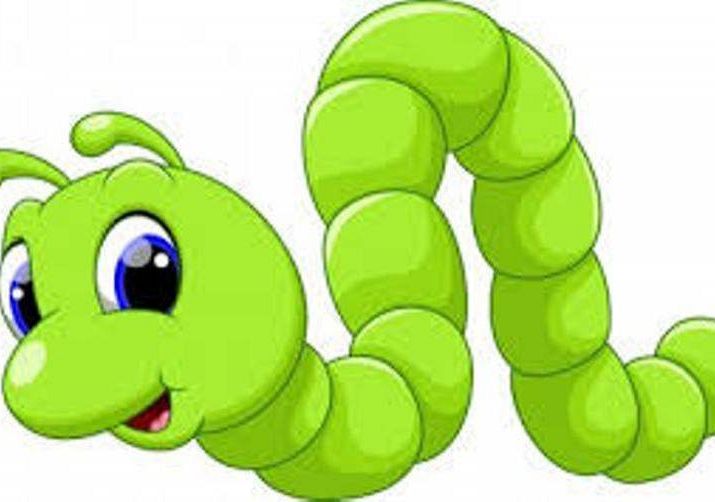 Gąsieniczki i inne robaczki