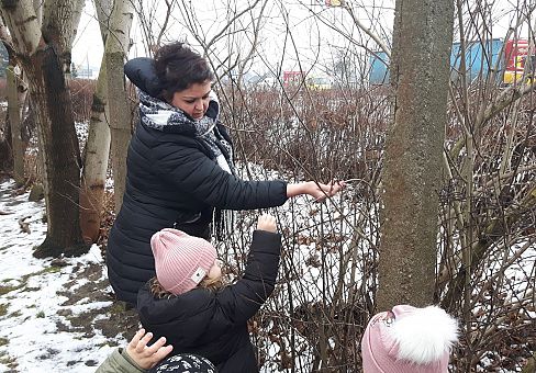 Grafika GR. II Dokarmiamy Ptaki