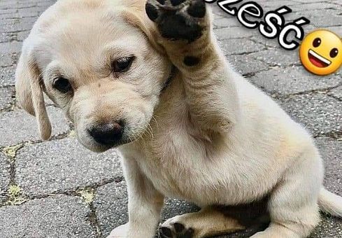 Grafika Zajęcia dla dzieci w domu cz II