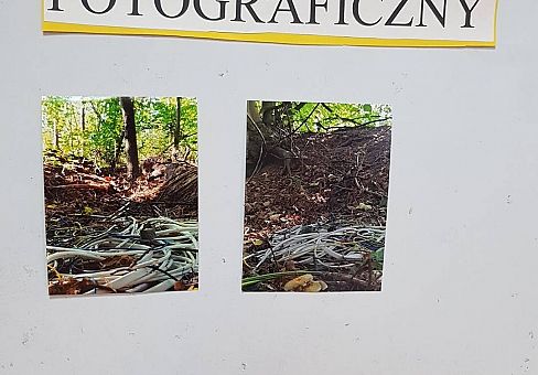 Grafika GR IV Konkurs fotograficzny - Dzikie wysypiska śmieci