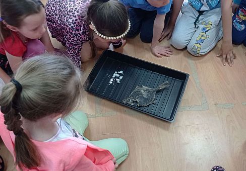 Grafika GR IV Skarby natury