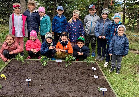 Grafika GR III Zakładamy ogródek warzywny