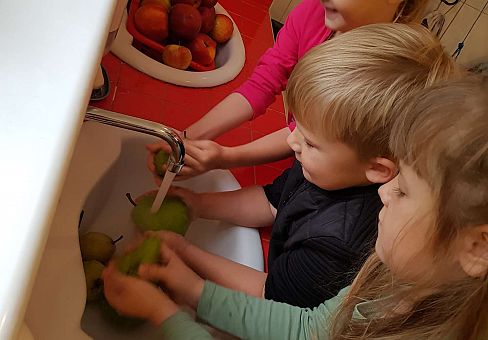 Grafika Gr. III Robimy sok warzywno- owocowy