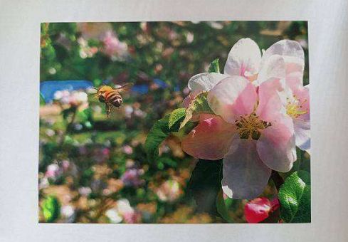 Grafika "Piękno wiosennej przyrody" - konkurs