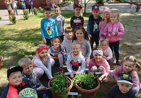Grafika Gr. III Sadzimy zioła i warzywa w ogródku przedszkolnym