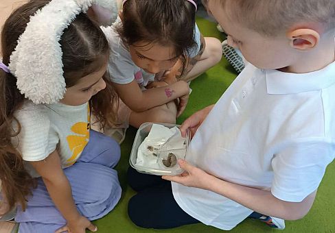 Grafika Gr. IV Kostek demonstuje ciekawostki przyrodnicze