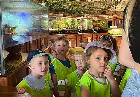 Grafika Gr. II Wycieczka- Zoo Egzotyczne -Tuchlino