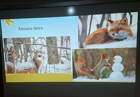 Grafika Spotkanie z leśniczym