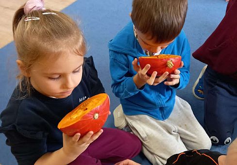 Grafika Gr.IV Dzień Dyni