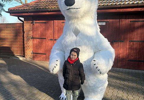 Grafika Gr.IV Dzień Pluszowego Misia