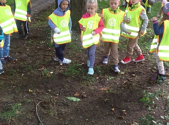 Wycieczka do parku gr III