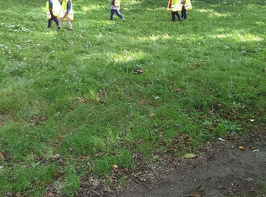 Wycieczka do parku gr III