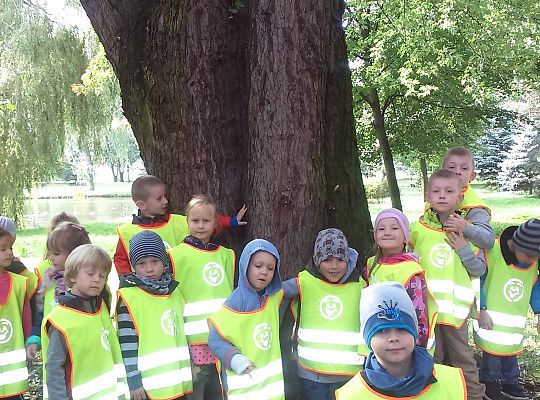 Wycieczka do parku gr III