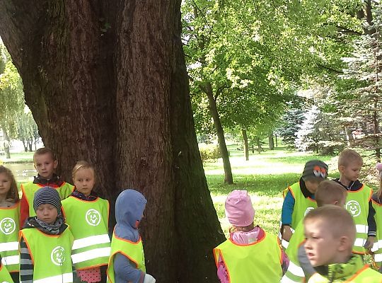 Wycieczka do parku gr III