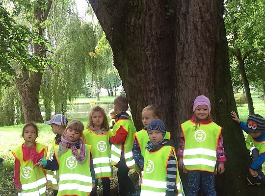 Wycieczka do parku gr III