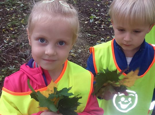 Wycieczka do parku gr III