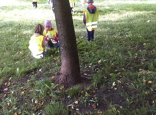 Wycieczka do parku gr III