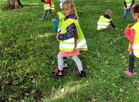 Wycieczka do parku gr III