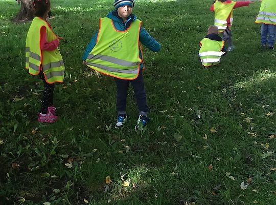 Wycieczka do parku gr III