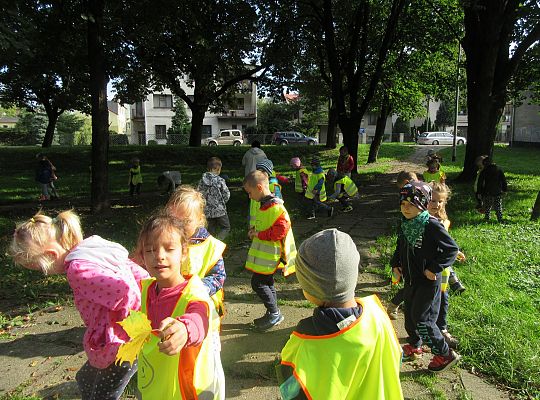 Wycieczka do parku gr III