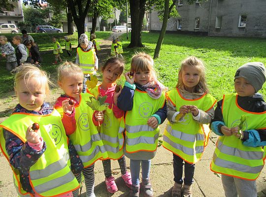 Wycieczka do parku gr III