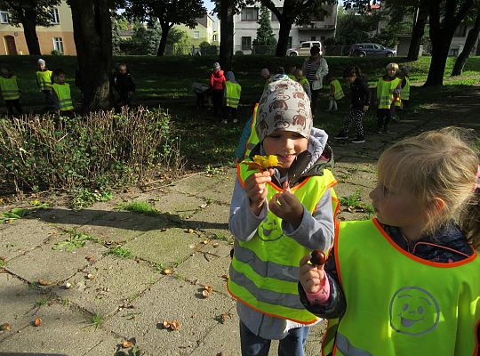 Wycieczka do parku gr III