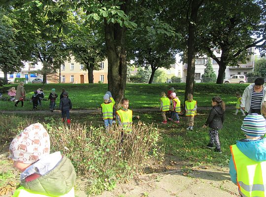 Wycieczka do parku gr III