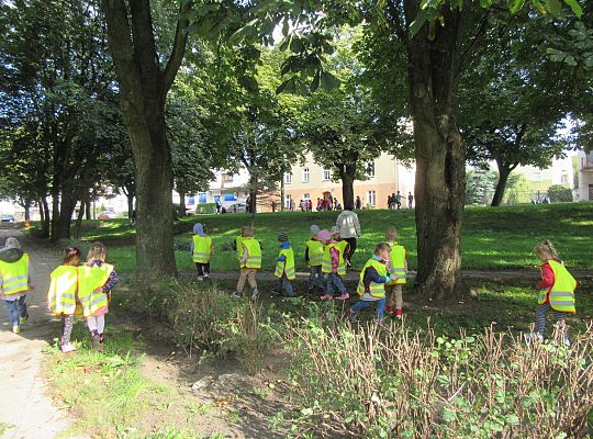 Wycieczka do parku gr III