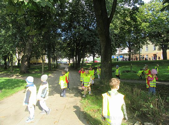 Wycieczka do parku gr III