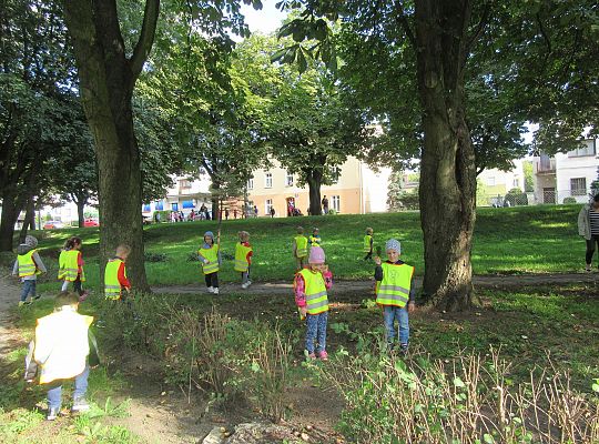 Wycieczka do parku gr III