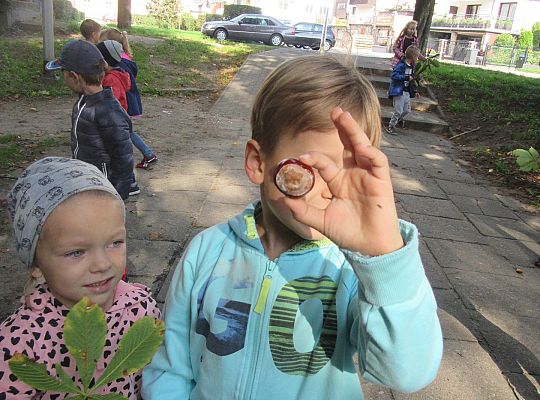 Wycieczka do parku gr IV