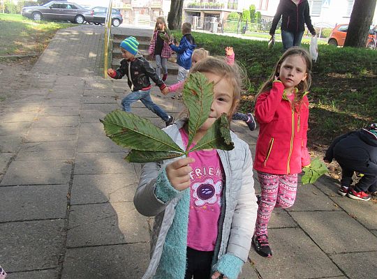 Wycieczka do parku gr IV