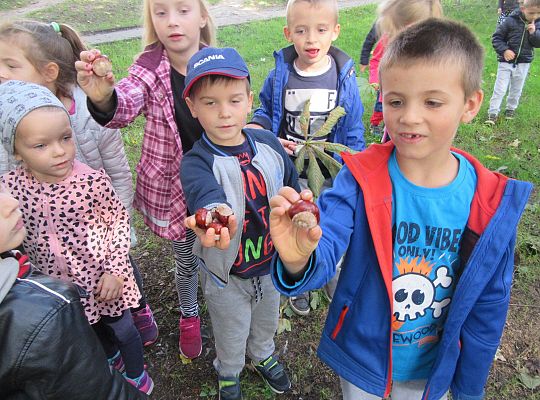 Wycieczka do parku gr IV