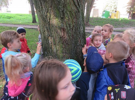 Wycieczka do parku gr IV