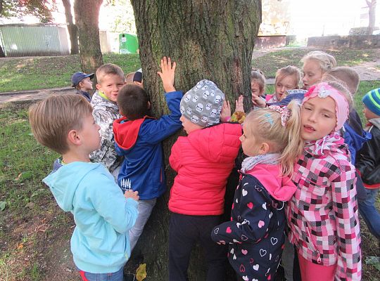 Wycieczka do parku gr IV