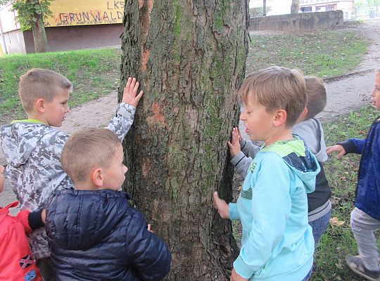 Wycieczka do parku gr IV