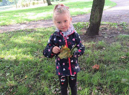 Wycieczka do parku gr IV