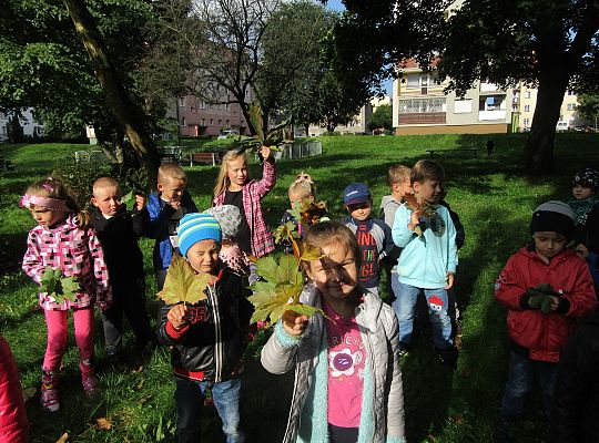 Wycieczka do parku gr IV