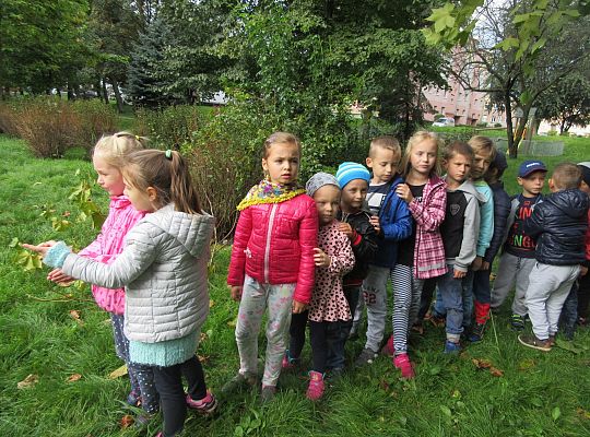 Wycieczka do parku gr IV