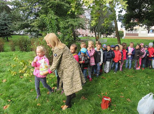 Wycieczka do parku gr IV