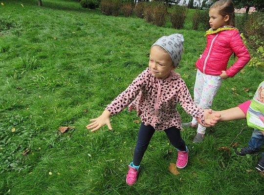 Wycieczka do parku gr IV