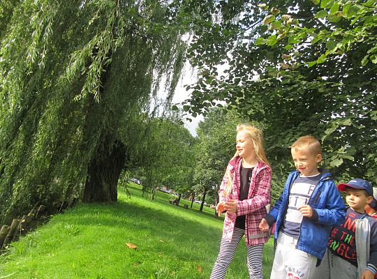 Wycieczka do parku gr IV