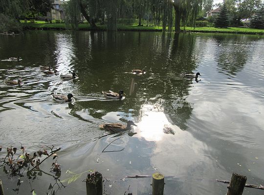 Wycieczka do parku gr IV