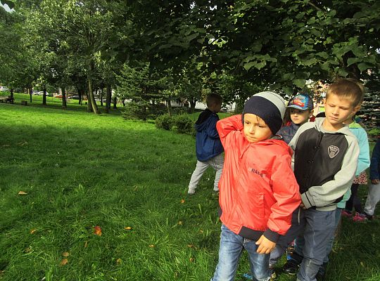 Wycieczka do parku gr IV