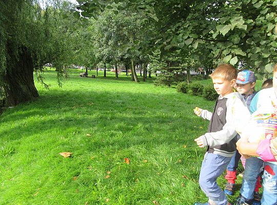 Wycieczka do parku gr IV