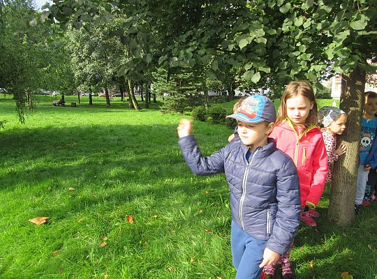 Wycieczka do parku gr IV